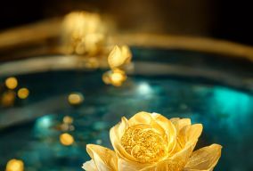 游泳池里金色莲花和许多金币