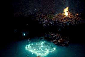 在岩石池中筑巢的生物发光的水元素