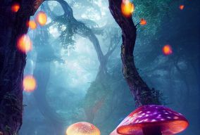 梦幻般的深森林的发光的巨大蘑菇