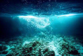 海底水下摄影